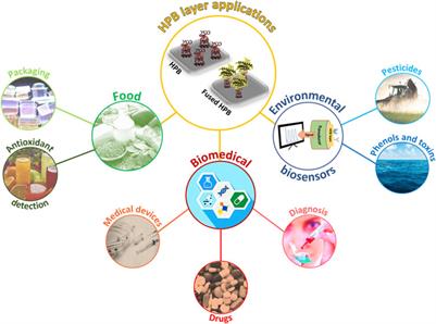 Innovative surface bio-functionalization by fungal hydrophobins and their engineered variants